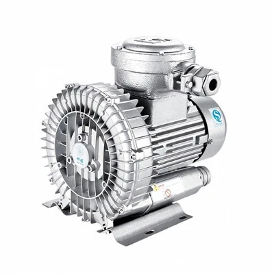 Portlashdan himoyalangan Vortex Fan 220V